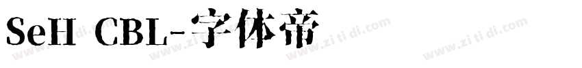 SeH CBL字体转换